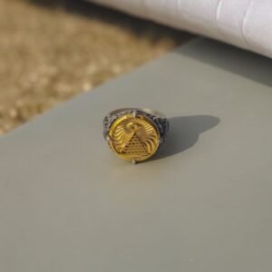 Alternative view of Aegis